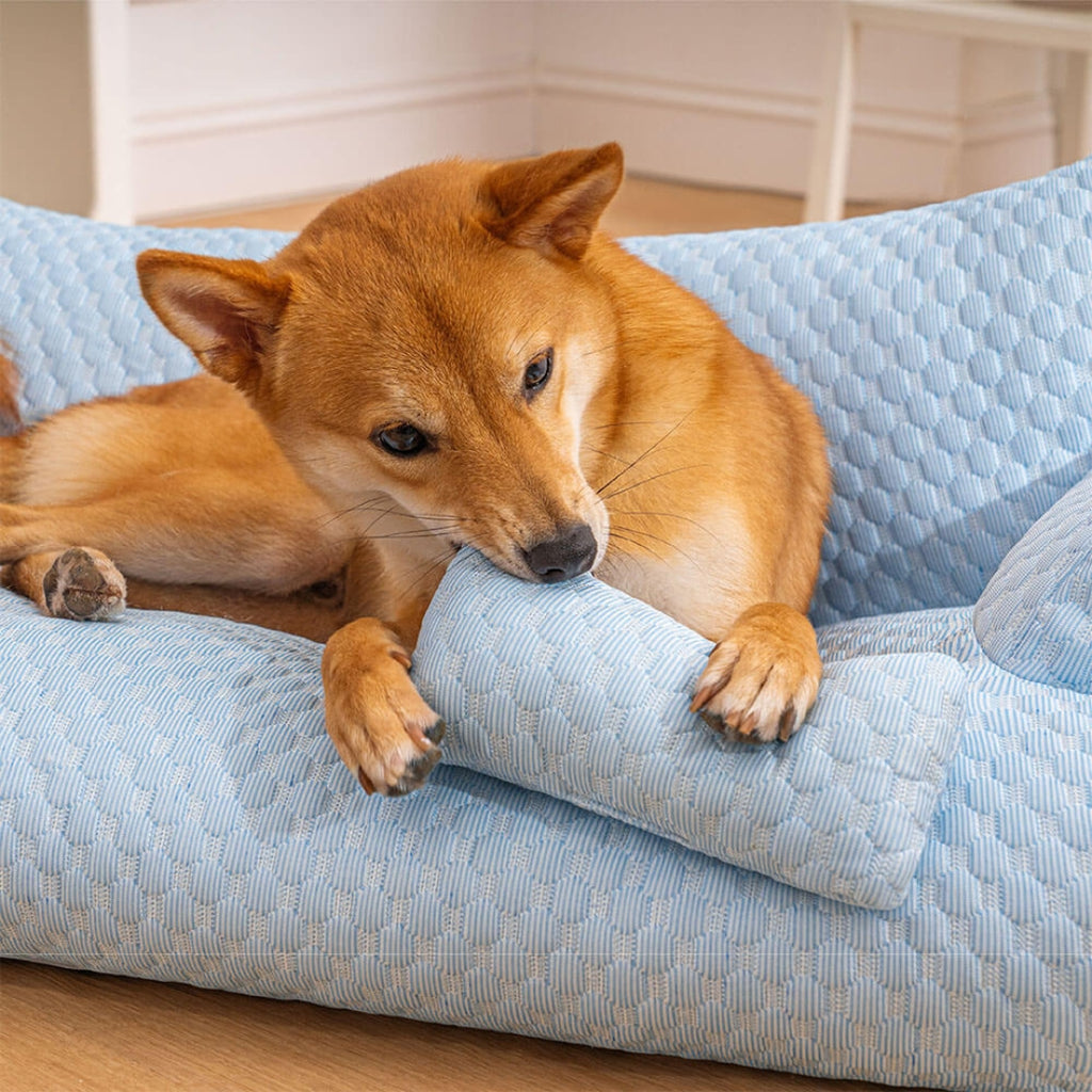 Ergonomic Cooling Pet Bed | Breathable Cushioned Base Design