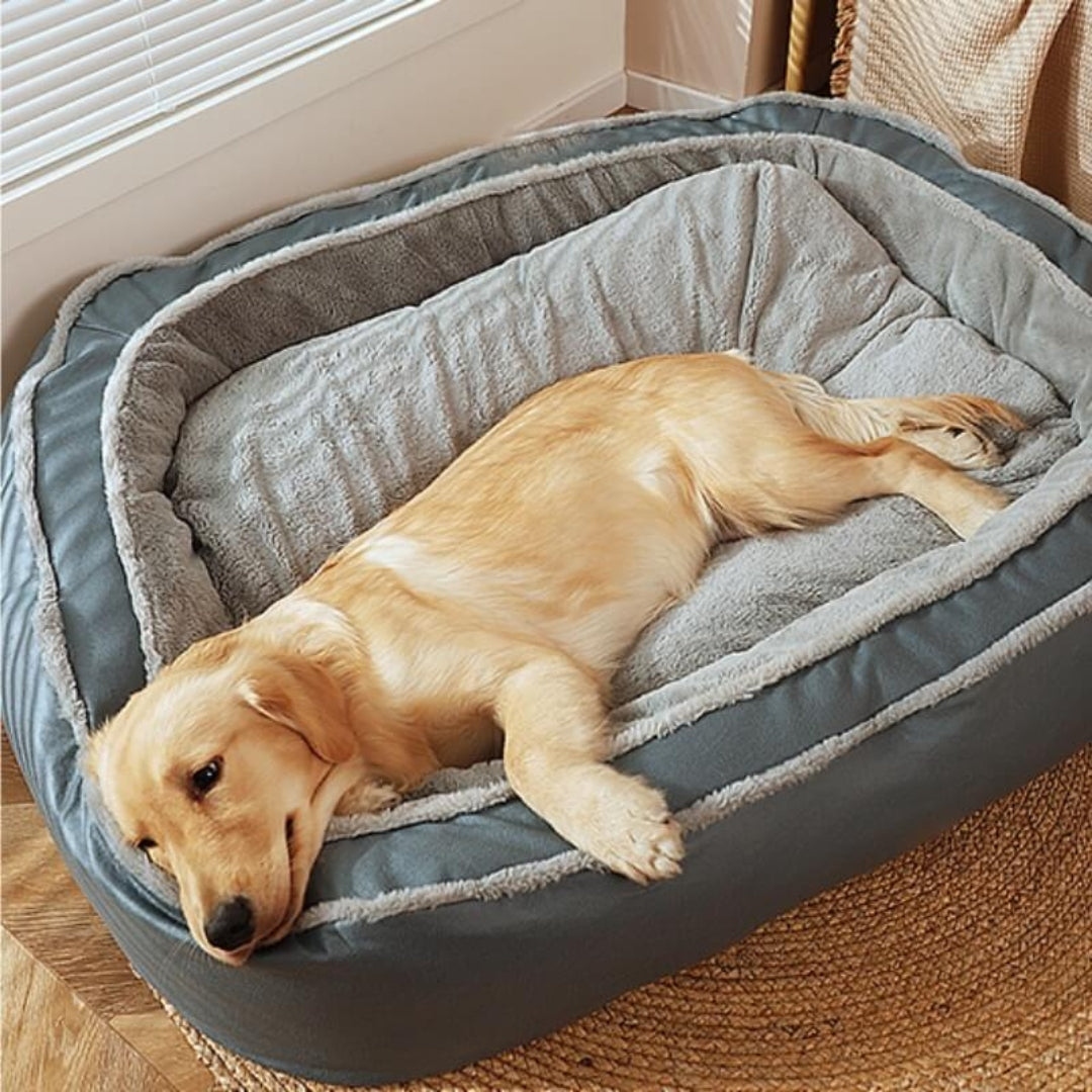 Supportive Large Orthopedic Dog Bed with Plush Comfort Sleep