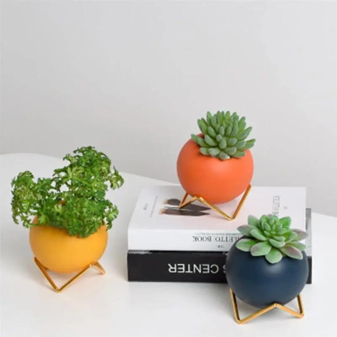 Modern Ceramic Plant Pot with Stand | Stylish Display Accent
