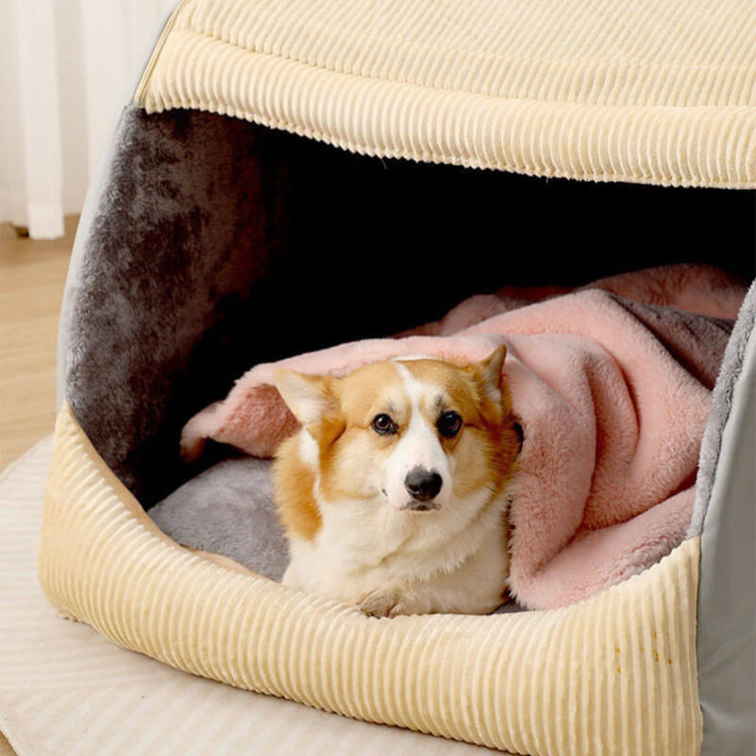 Spacious Orthopedic Dog Bed with Washable Removable Cover