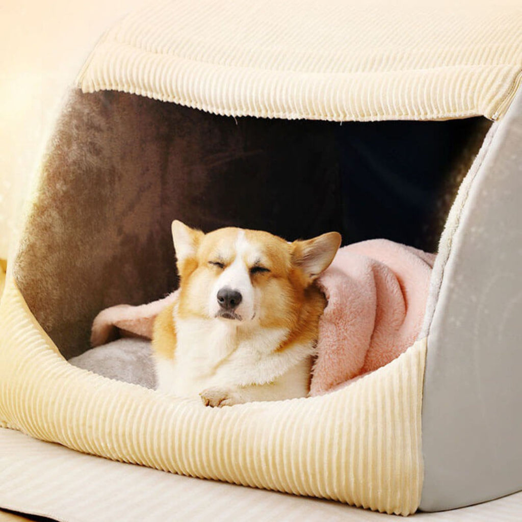 Spacious Orthopedic Dog Bed with Washable Removable Cover